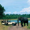 Chobe Chilwero