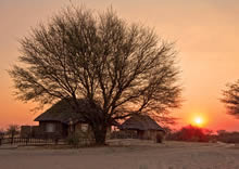 Grasslands Bushman Lodge